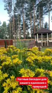 Подснежник - 7