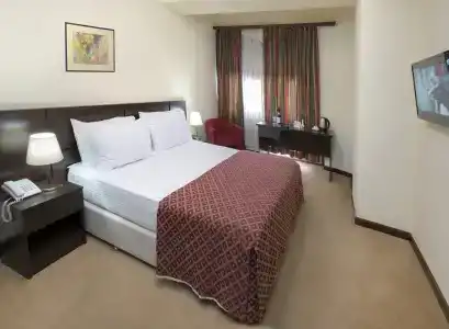 Ani Central Inn - 51