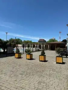 Слон - 3