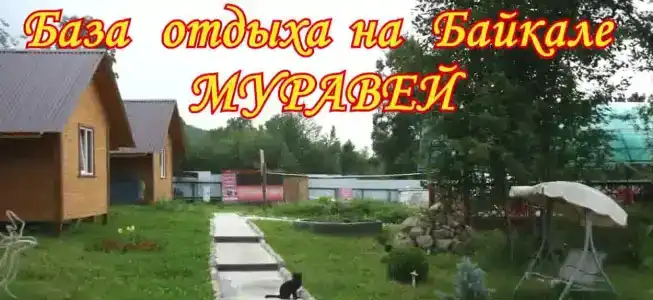 Муравей - 1