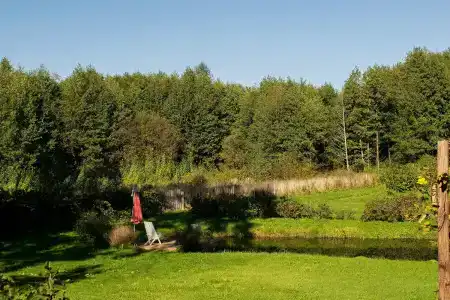 Боровики - 27