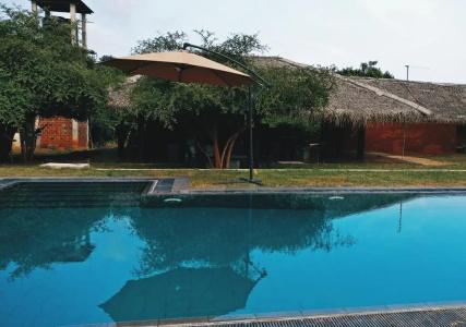 THE ELEPHANT PASS - YALA - 1