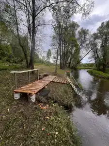 Звездный лес - 40