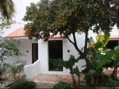 Oasis Bungalows Rhodes- All Inclusive - 12