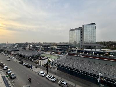 Art Regency Premium Free Airport Service - 31