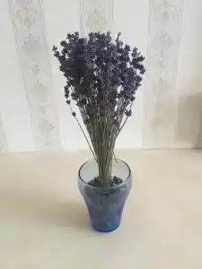Картинки Массандры - 6