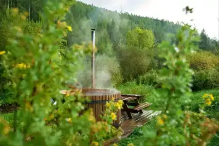 Кедровая сова - 18