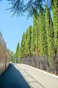Волна - 2