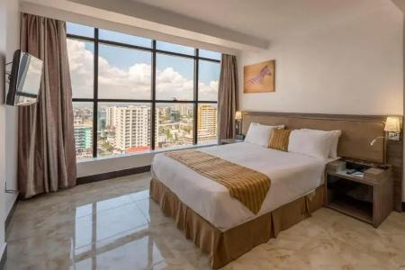Golden Tulip - 9