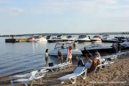 Подсолнух - 31