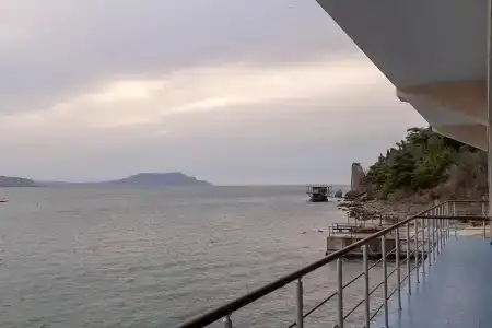 Катран - 0