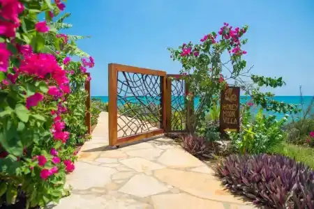 Fruit & Spice Wellness Zanzibar - 22