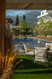 Palmonte Suite - 23