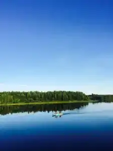 Лось - 21
