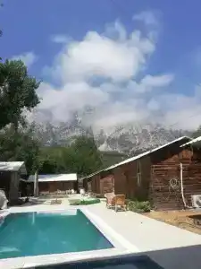 Lime Tree Houses - 15
