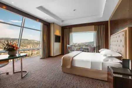 The Biltmore Tbilisi - 30