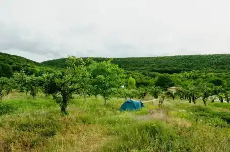 Крым - 63