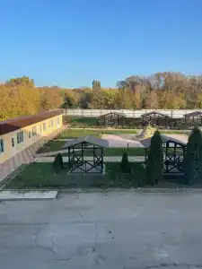 Александрия - 11