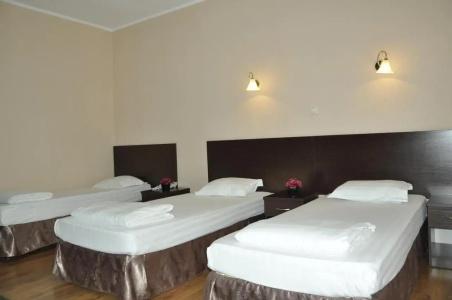 Sultan Beibarys - 4