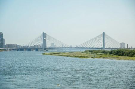 Trans Nile - 15
