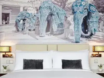 Ozo Kandy - 8