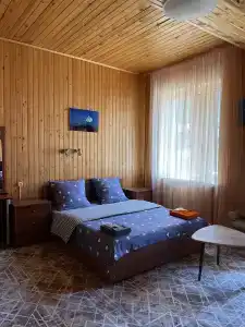 Аура Гор - 10