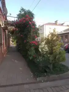 Гостевой дом на Краснодарской, 131 - 10