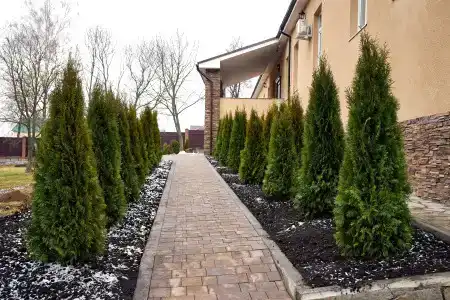 Русский пар - 13