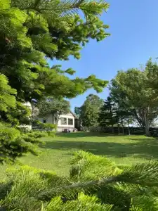 Bay House - 7