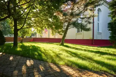 Бачурино Деревня 254 - 5
