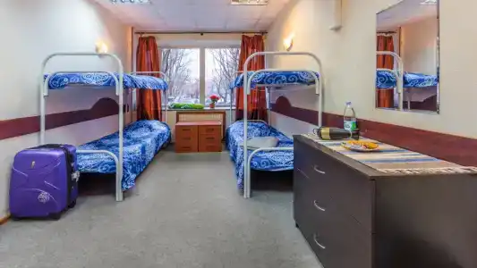 Мята - 5