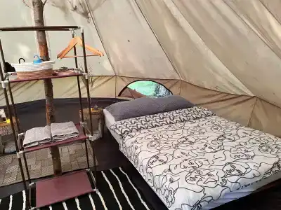 Звездный лес - 142