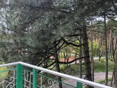 Пансионат Надежда - 35