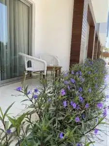 Zest Exclusive & Spa - 6