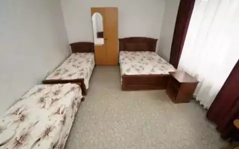 Виолетта - 14
