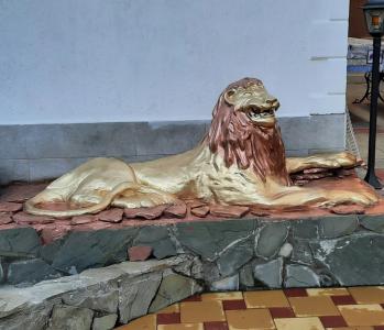 Золотой лев - 15