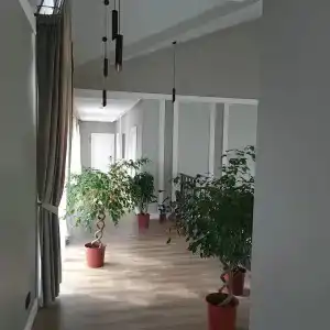 Лесной Дух - 12