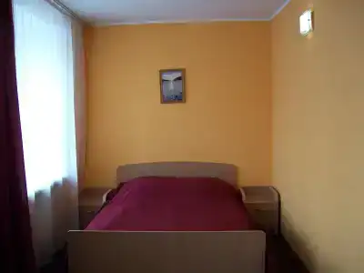Гвоздика - 3