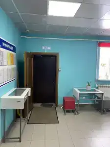 Рябинка - 10