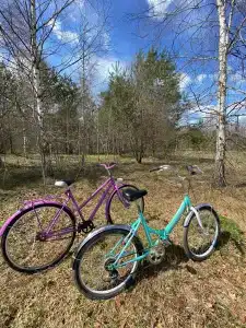 Звездный лес - 13