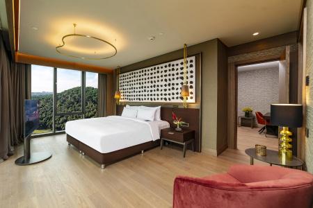 Radisson Blu, Vadistanbul - 88