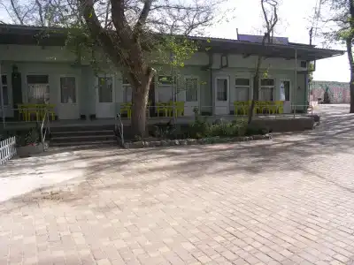 Жемчужный - 0