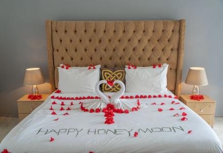 Sunny Palms Beach Bungalows - 36