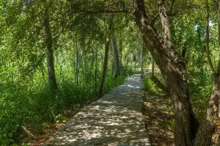 Rano Eco Village - 36