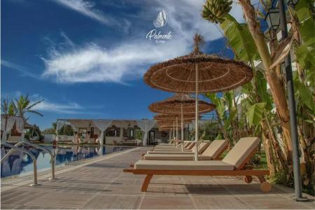 Palmonte Suite - 1