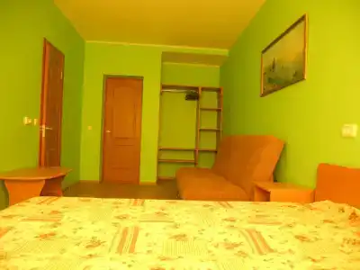 Вега - 20