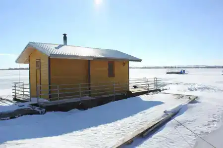 Подсолнух - 13