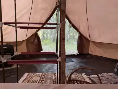 Звездный лес - 111