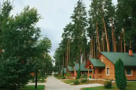 Green Park Airport Minsk - 5