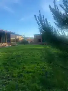 Загородный дом в окружении леса - 22